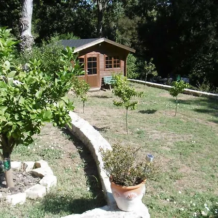 Dans Saint-Raphaël